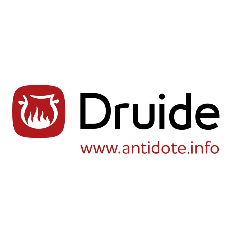 Druide informatique
